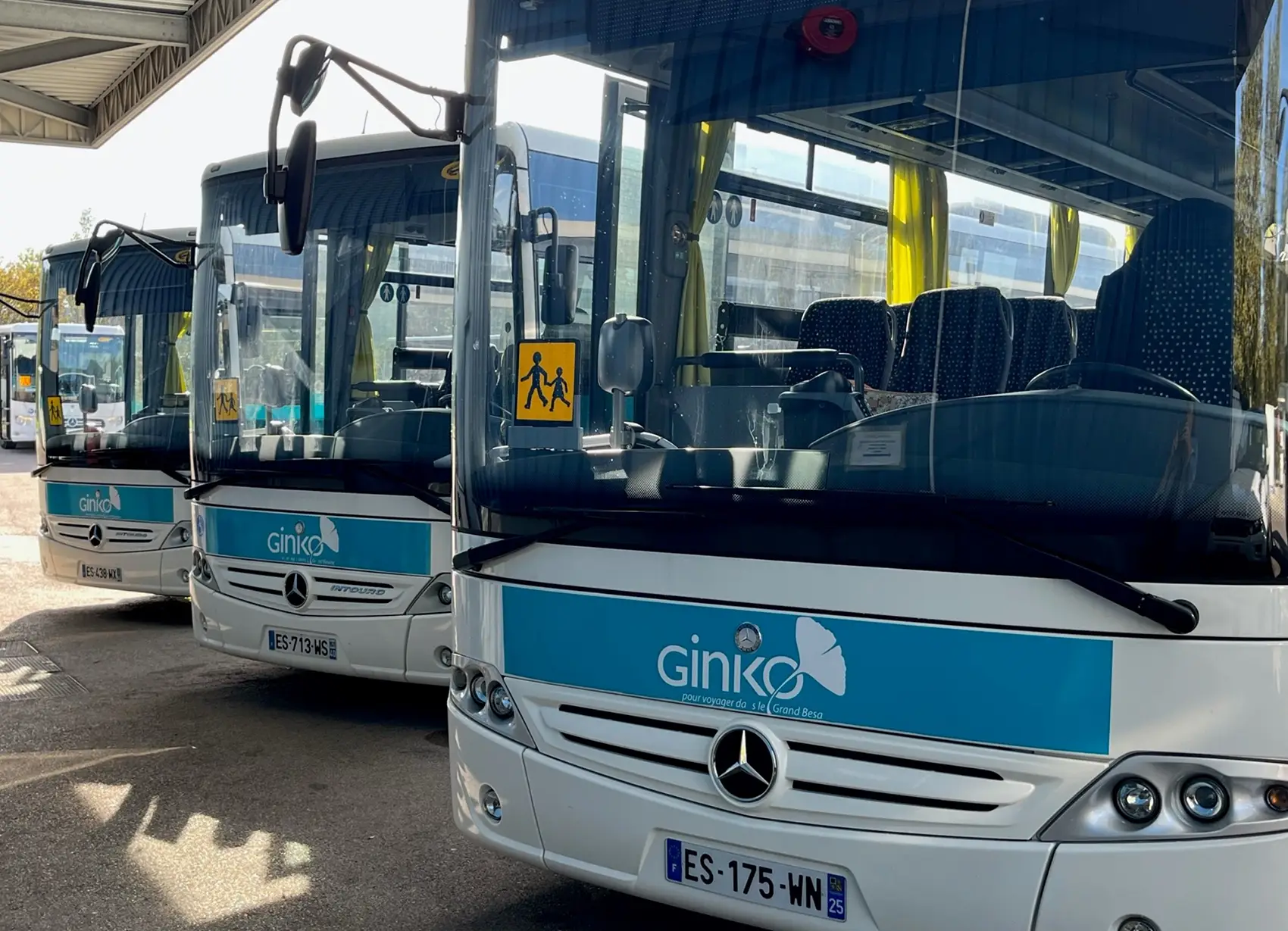 gtv-transports-sn-lignes-regulieres-pour-les-etablissements-scolaires